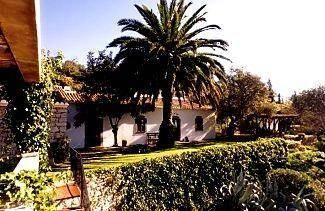 Sao Bras de Alportel House | 250 m² House ∙ 3 bedrooms ∙ 6 guests