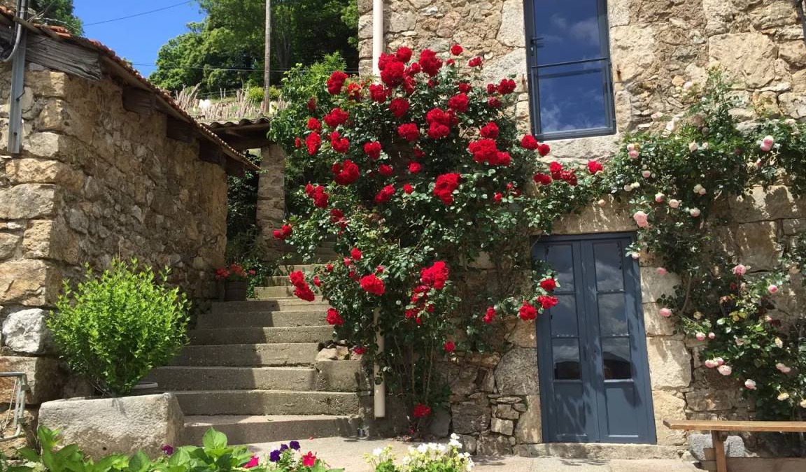 Vals-les-Bains Apartment | 26 m² Apartment ∙ 2 guests