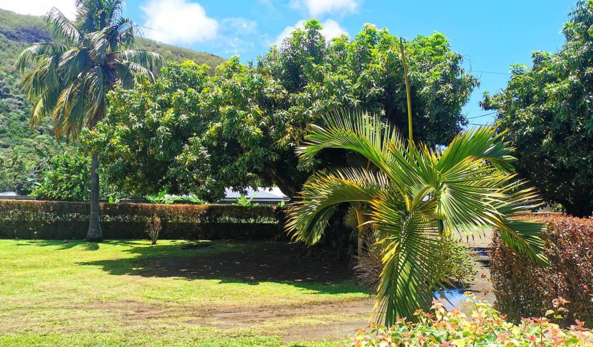 Paea Apartment | 26 m² Apartment ∙ 1 bedroom ∙ 2 guests