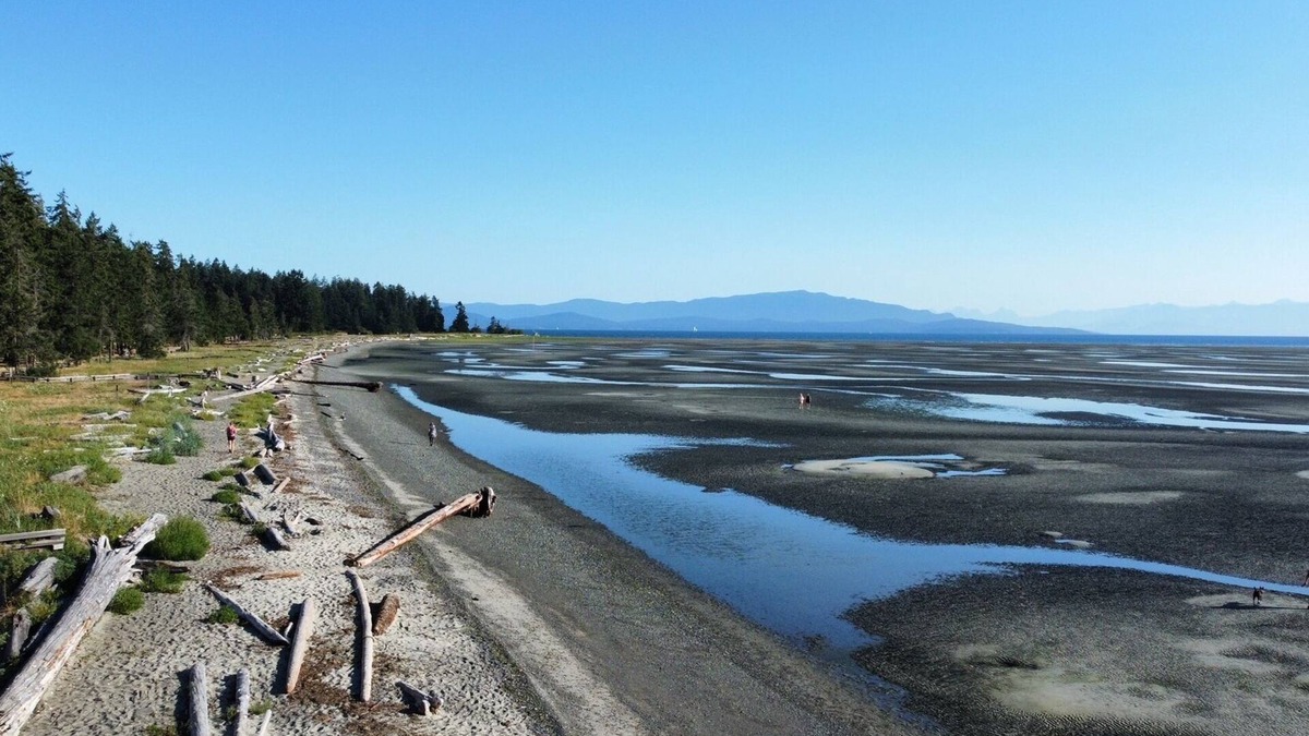 Regional District of Nanaimo Cottage | 2bdrm 2bath Cottage w/indoor pool 5 min from beach