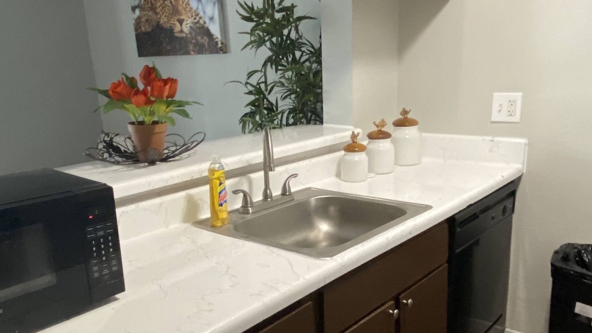 Astrodome Apartment | 2bed 1bth (Safari Room)