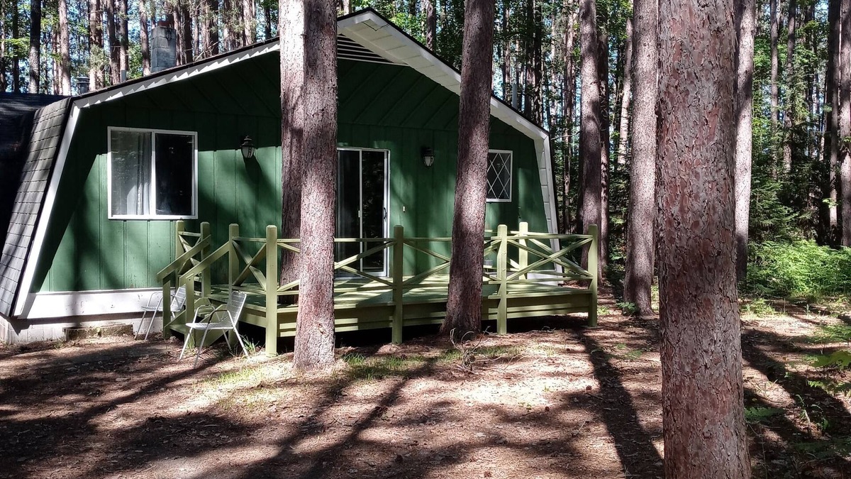 Oscoda County Cabin | 2bed Up North Cabin with hiking area -5 min to Au Sable river, orv trails & golf