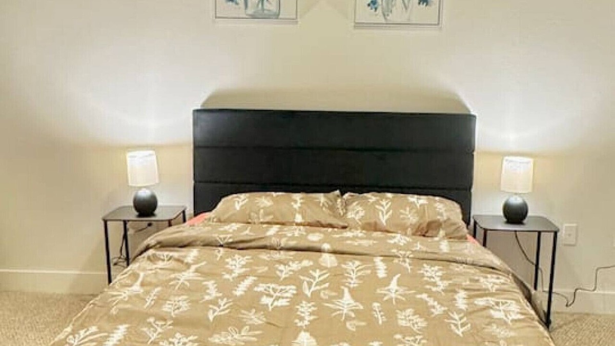 Wetmore Apartment | 2BR Modern 2mi to Six Flags, La Cantera & Dining