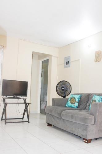 Salt Gut Apartment | 2BR Villa Ocean Views Beach 5mins to Airport
