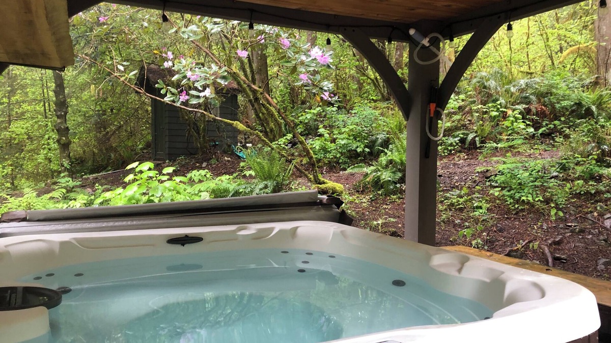Skagit County House | 3 BDR Country Home on 5 acres with hot tub, fire pit and private creek