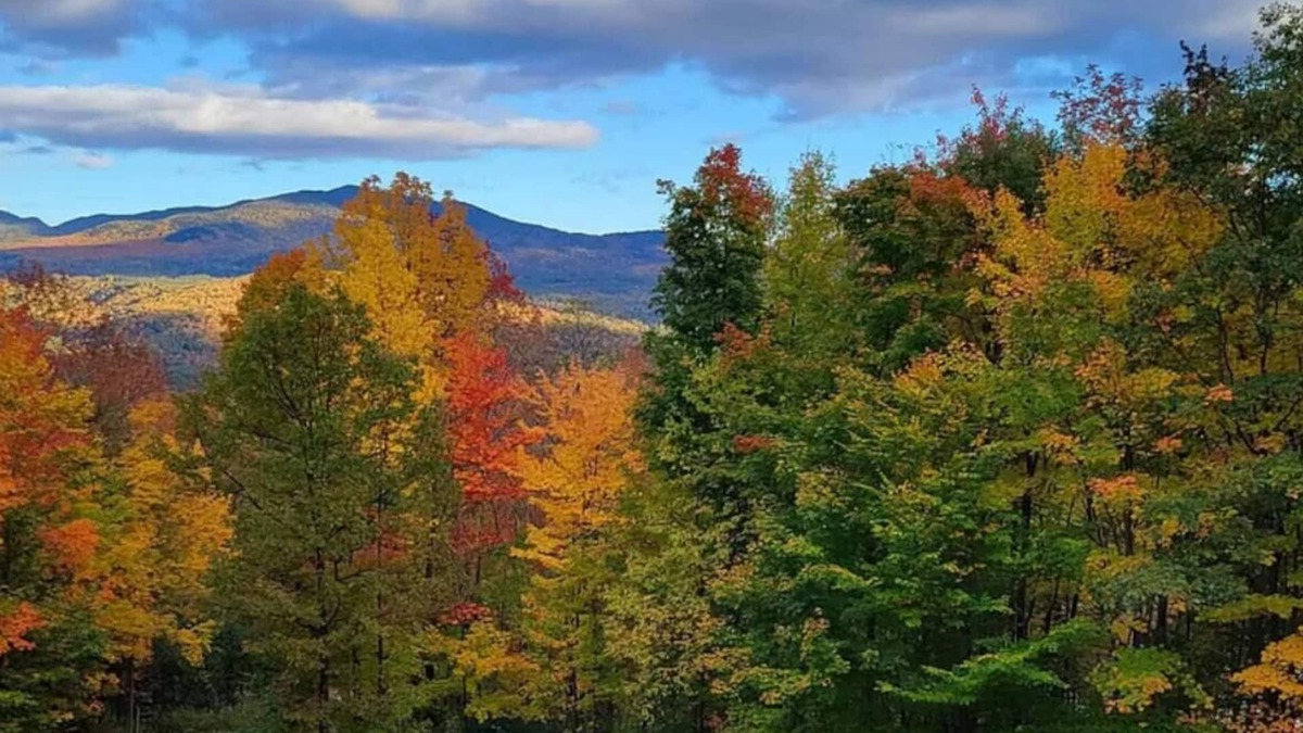 Keene House | 3 Bdr with amazing ADK Mountain views!