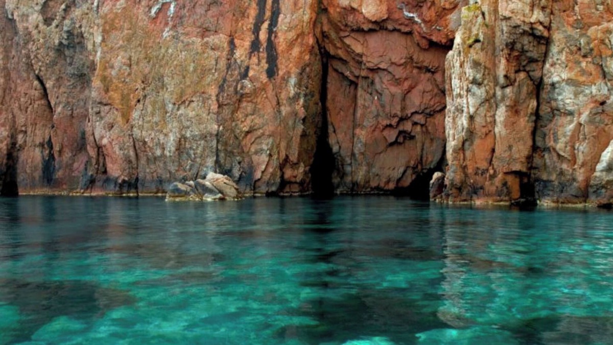 Soccia House | 3-bed cabin ideal for hiking and canyoning!