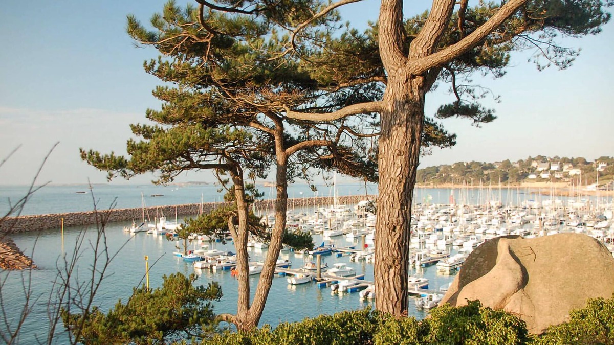 Plouguiel House | 3 bedroom accommodation in Plouguiel