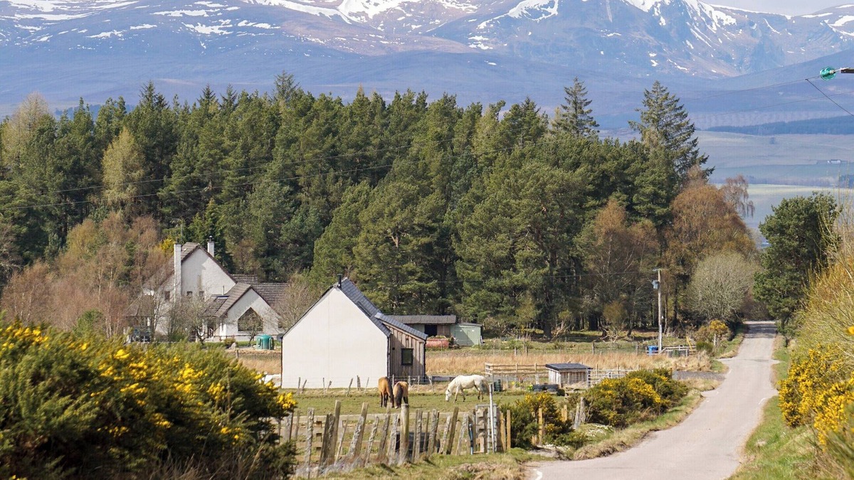 Dingwall Cottage | 3 bedroom accommodation in Culbokie, near Dingwall