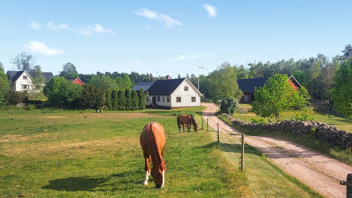Roke House | 3 bedroom awesome home in Röke