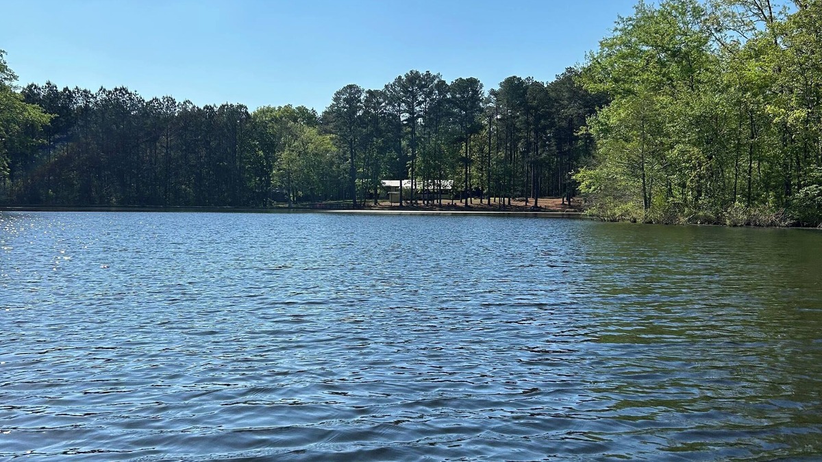 Harperville Cabin | 3-bedroom cabin nestled on 80 acres with WiFi, AC on private 5-acre lake.