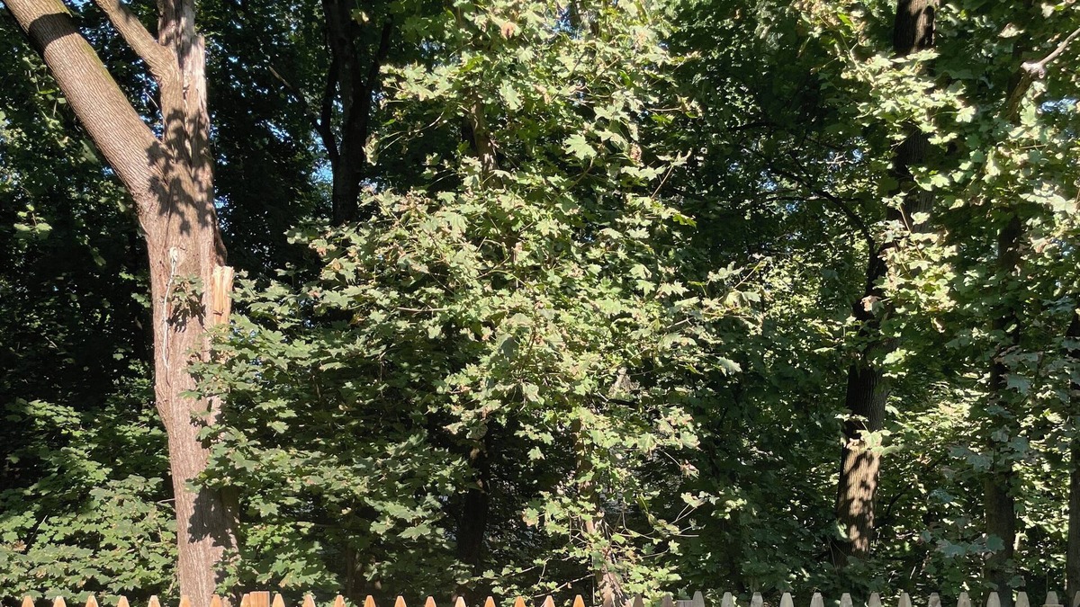 Peekskill House | 3 Bedroom - Hudson Valley House