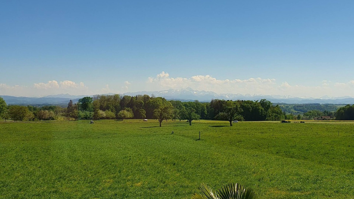 Langrickenbach House | 3-bedroom IN Langrickenbach with WiFi and free Parking space
