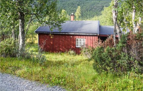 Tinn House | 3 Bedroom Lovely Home In Rjukan