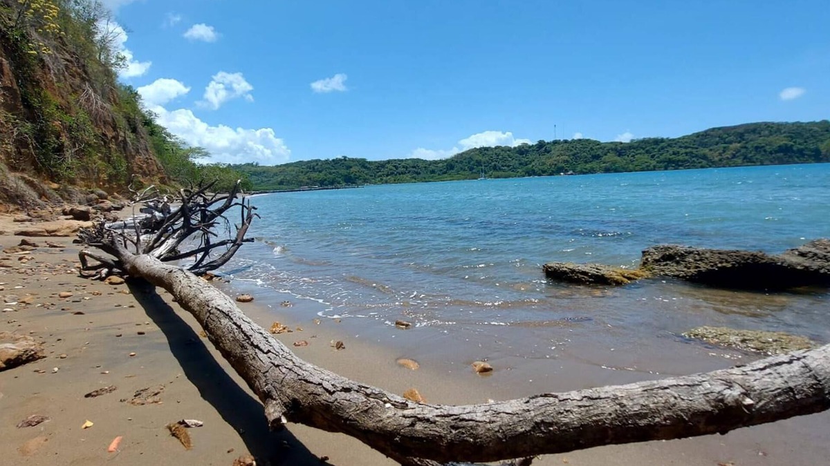 Moore Town House | 3 Bedrooms Rentals in Port Morant St Thomas