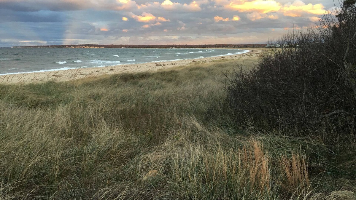 East Hampton House | 3 BR East Hampton, NW Cottage, Steps to Sammy's Beach