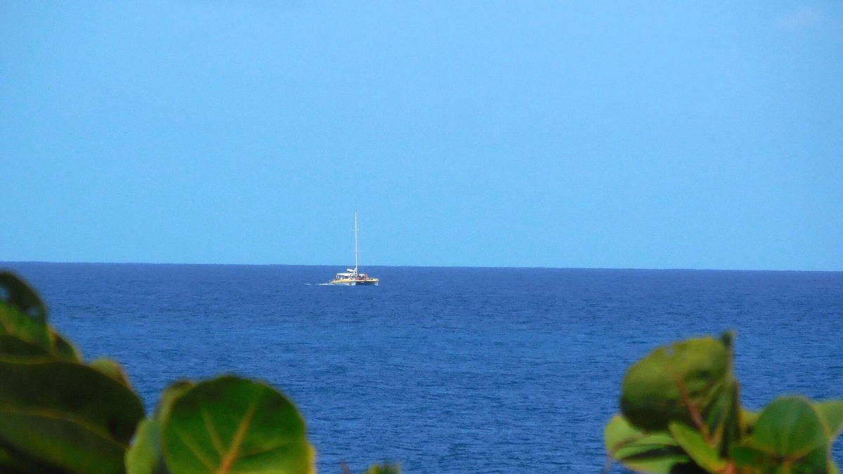Willikies House | 3 Br Home Overlooking Atlantic Ocean