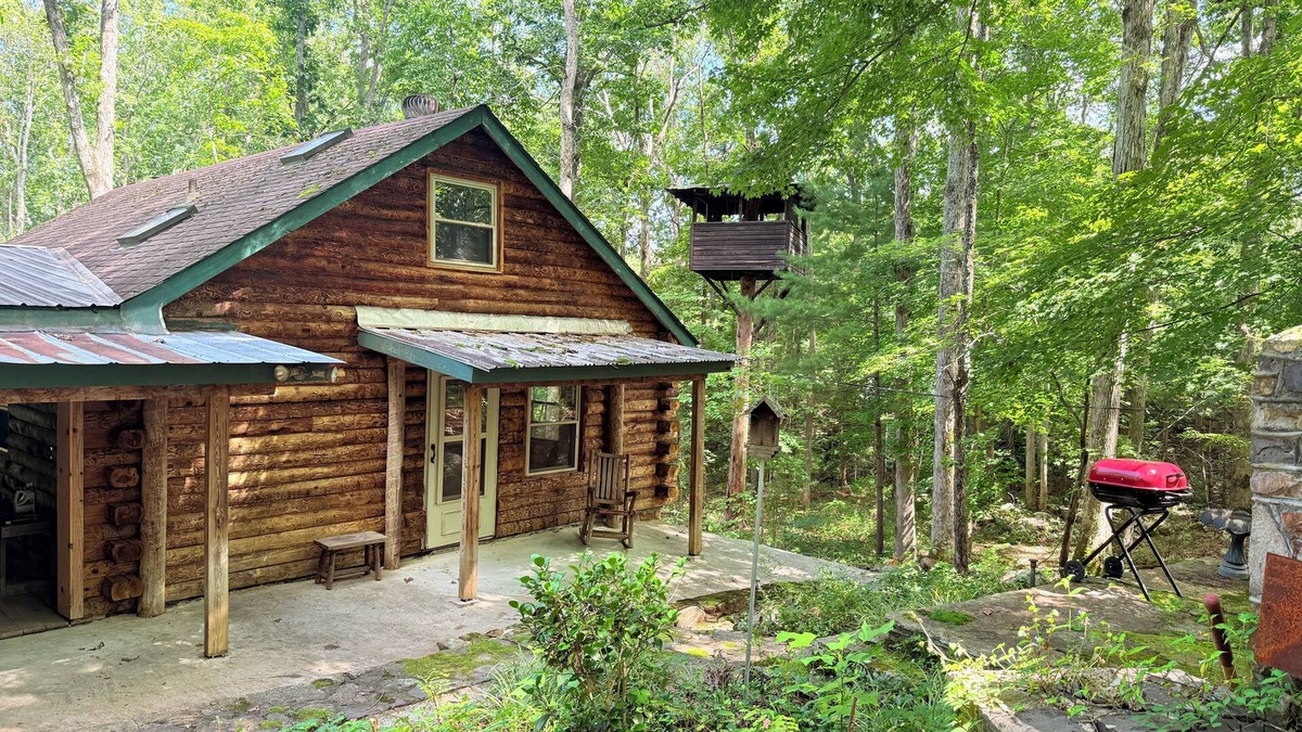 Craig Creek Cabin | 3 BR Log Cabin & 14 acres of private forest; short drive from New Castle and AT