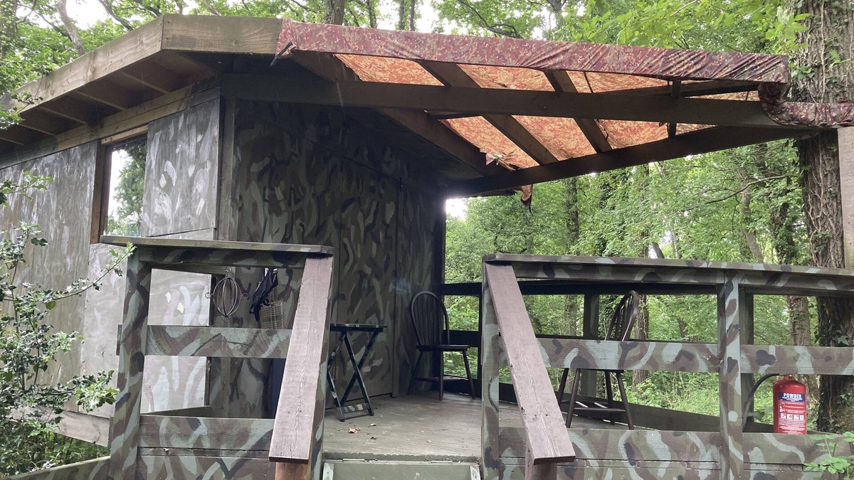 Longhope Cabin | 3 Guests - Pet Friendly - Grid Tree-House