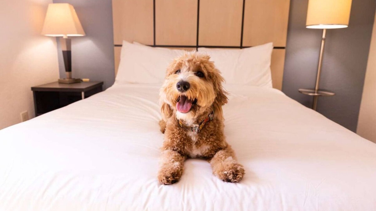 West Des Moines Hotel | 3 Homey Suites for Family to Enjoy! Explore Pappajohn Sculpture Park!
