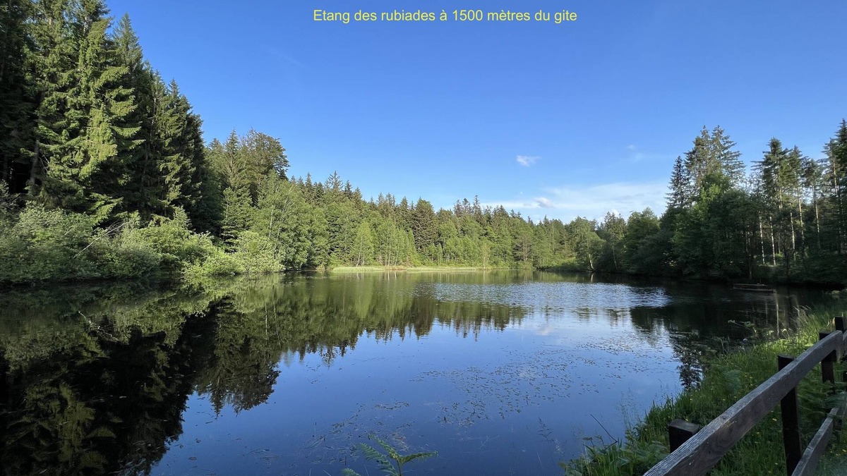 Cleurie Apartment | 3-person gite on the edge of a forest near hiking trails