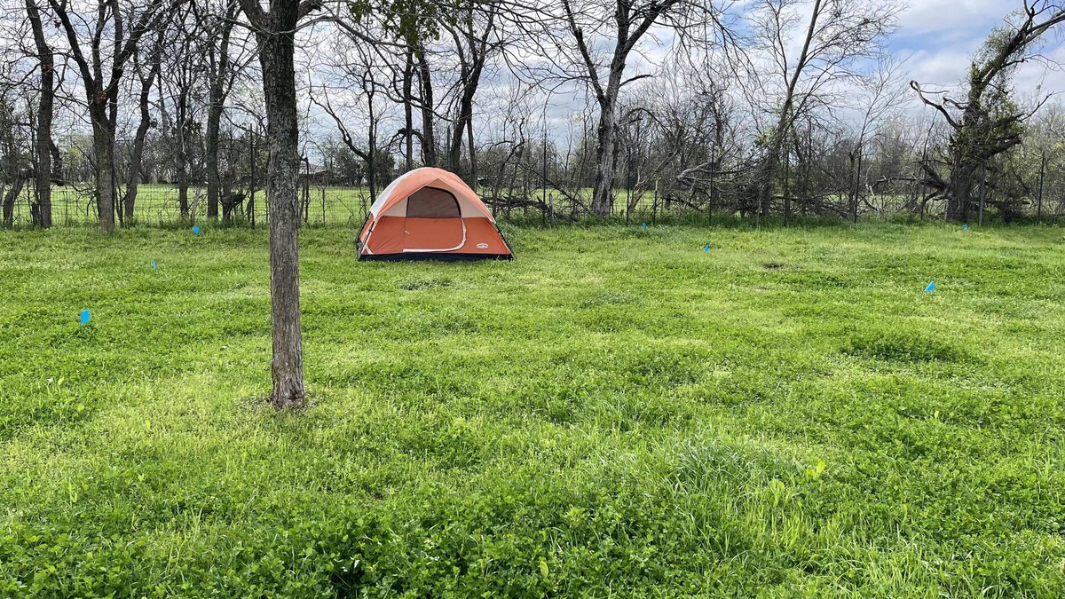 Waco RV Rental | 3 Person Tent on Waco Farm C5