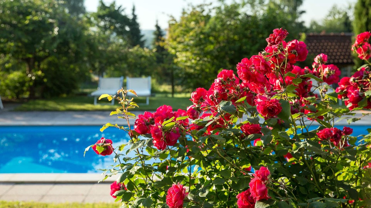 Bitzenhofen Apartment | 3-room country house apartment "Überlingen" 80m²