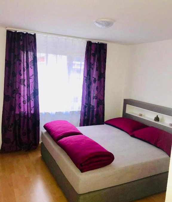 Buchs Apartment | 3 Room Premium Apartment Buchs SG