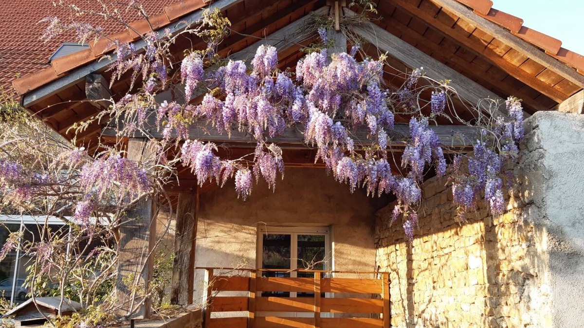 Mesandans House | 3-star furnished studio in the countryside, 5 minutes from the freeway.