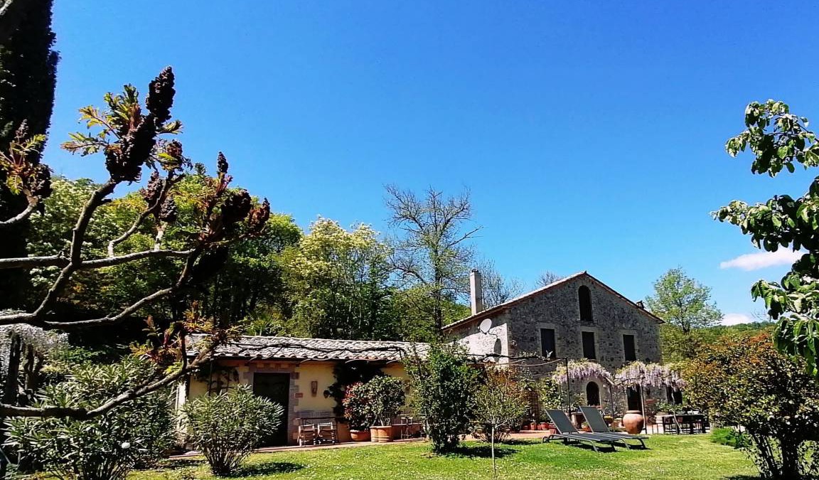 Orvieto Apartment | 30 m² Apartment ∙ 1 bedroom ∙ 2 guests