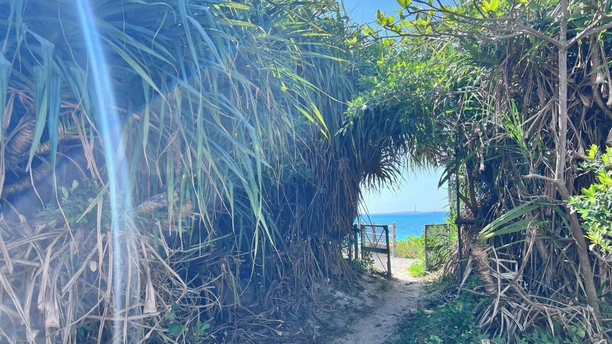 Kin House | 30 sec walk to the sea15 min drive to the resort/Kunigamigun Okinawa