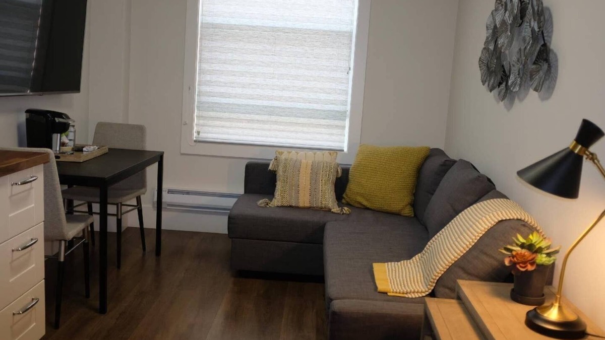 Downtown San Jose Apartment | 312-1 Bedroom Apt in San Jose. Pedestrian's Dream!