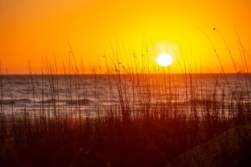 Beach Lagoon House | 32 Turtle Lane at The Sea Pines Resort