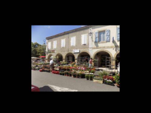 Plaisance Apartment | 35 m² Apartment ∙ 1 bedroom ∙ 2 guests