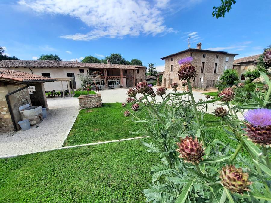 Monzambano Apartment | 35 m² Apartment ∙ 3 guests