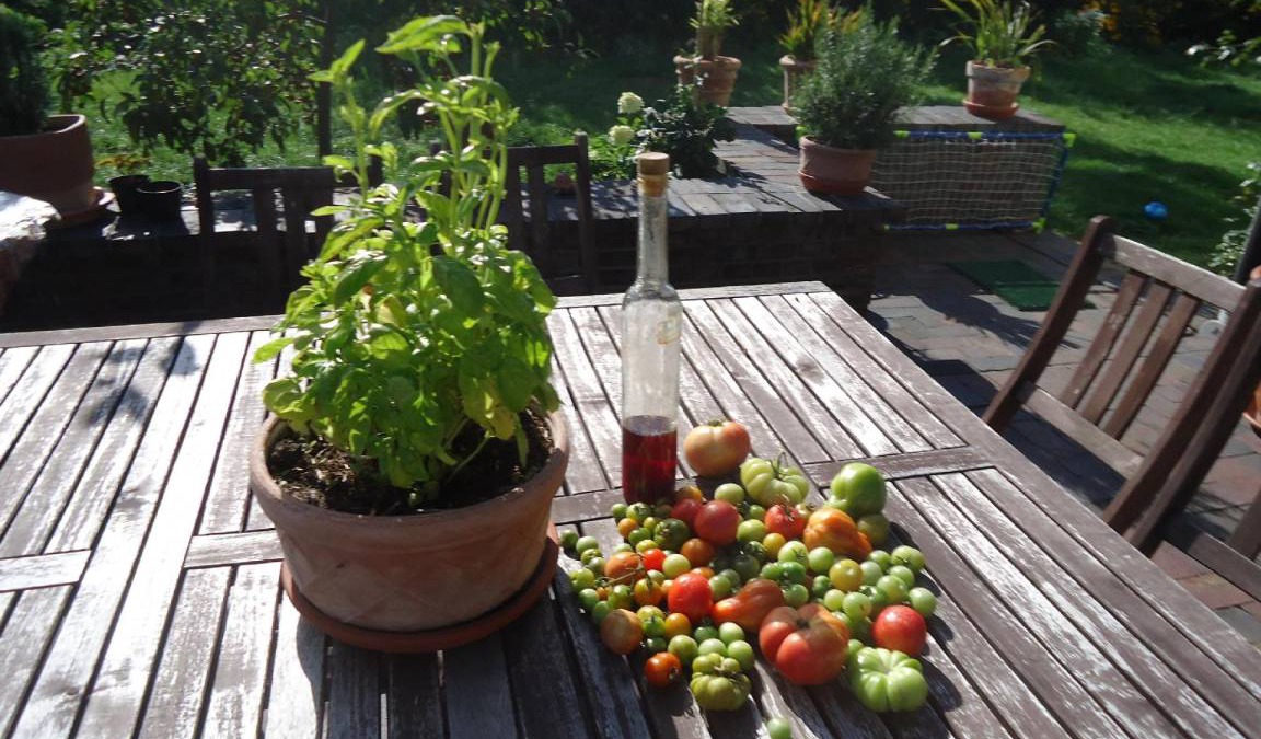 Sulmin Apartment | 36 m² Apartment ∙ 1 bedroom ∙ 4 guests