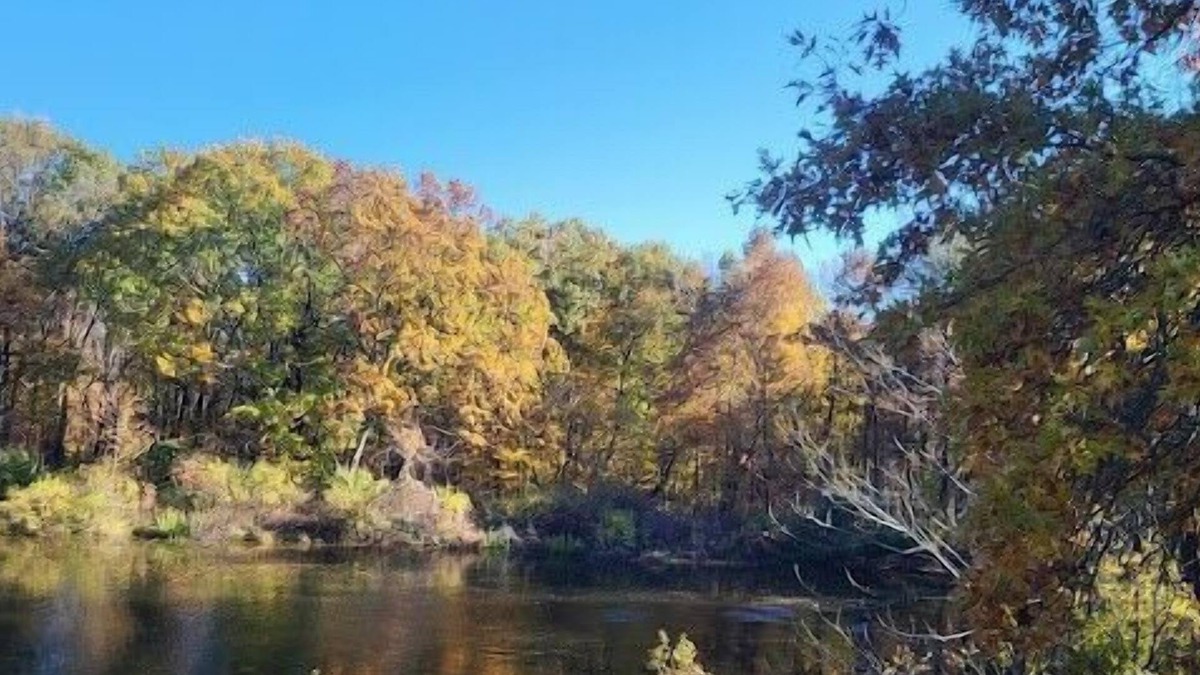 Fairlawn Heights House | 385 · Fairlawn Serenity Retreat