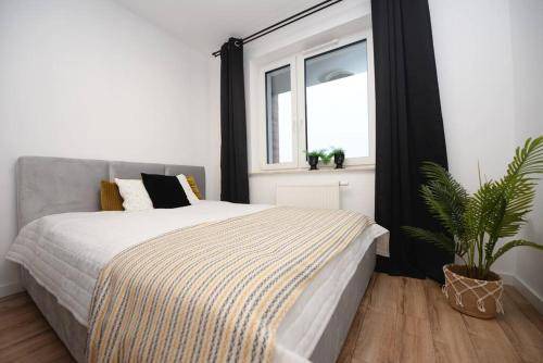 Rzeszow Apartment | 39 m² Apartment ∙ 4 guests