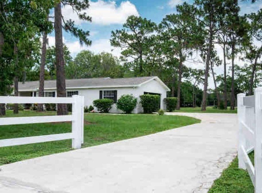 Greater Northdale House | 3bdr2bath home in Lutz close to Tampa, 20 min to Stadium, Airport
