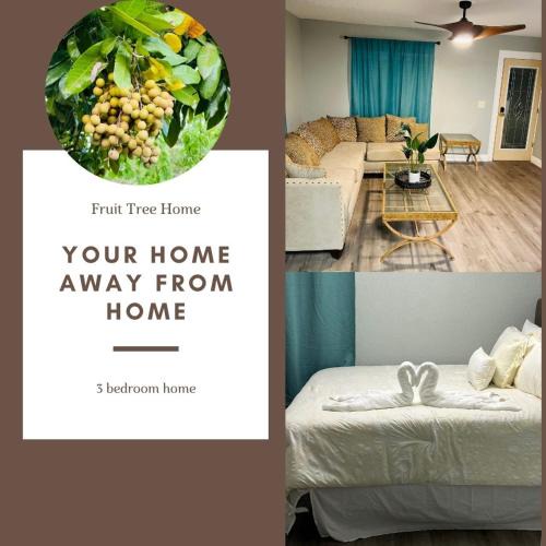 Orlando House | 3bdrm Fruit Tree Home near downtown Orlando