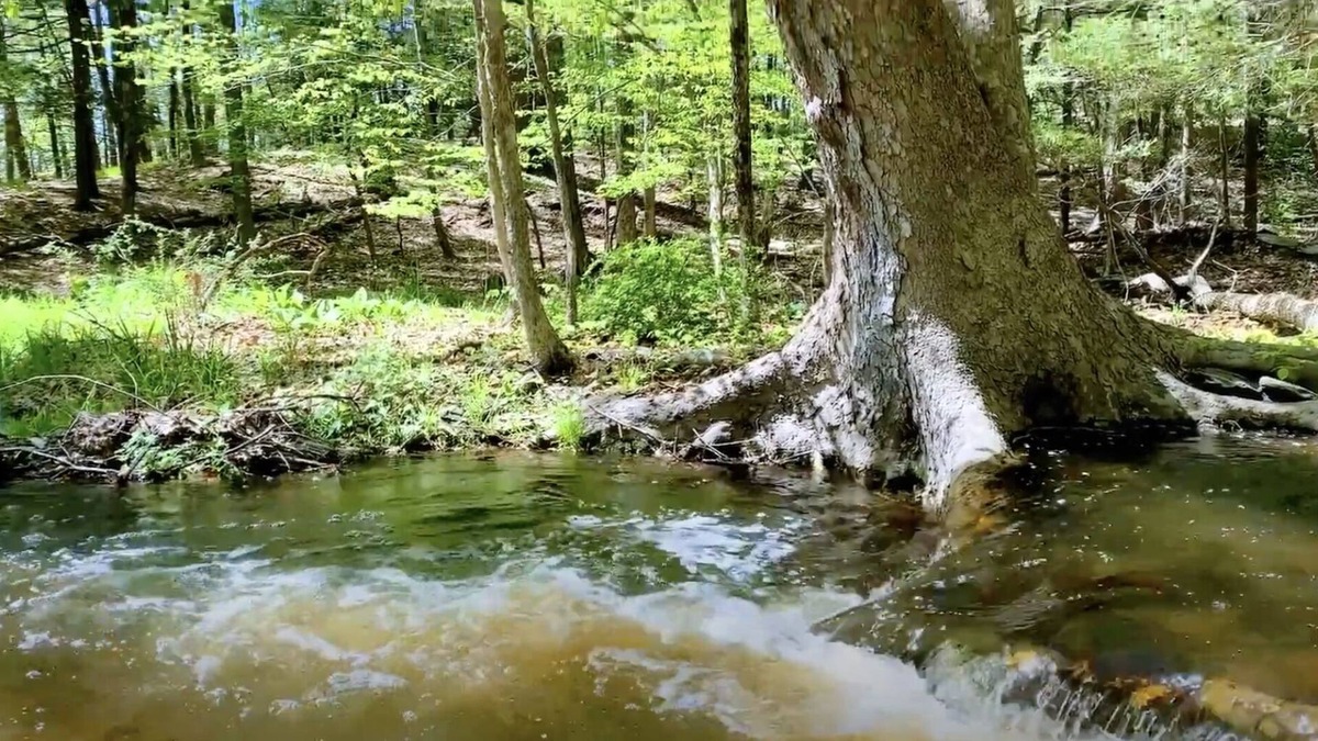Rhinebeck Cottage | 3Br escape set on winding creek in 130acre forest