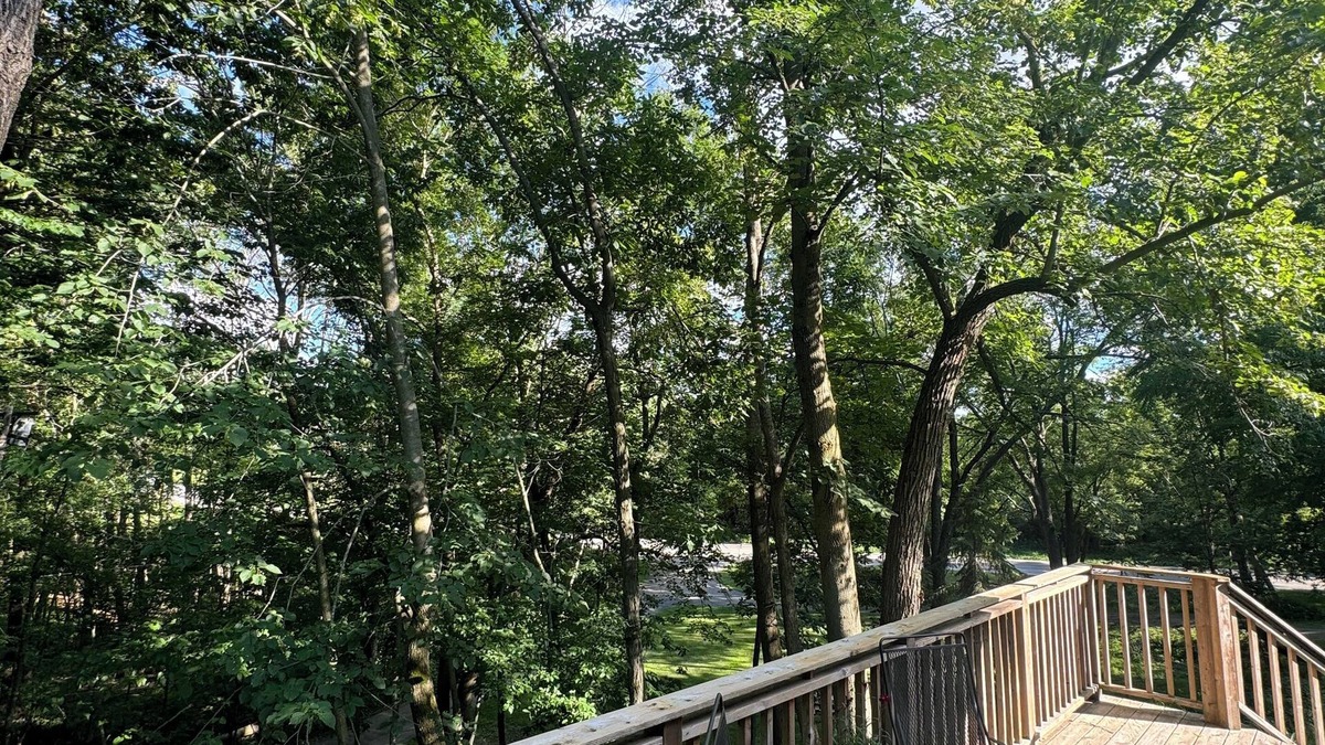 Chenequa House | 4 BD /2 BA Moose Lake Getaway