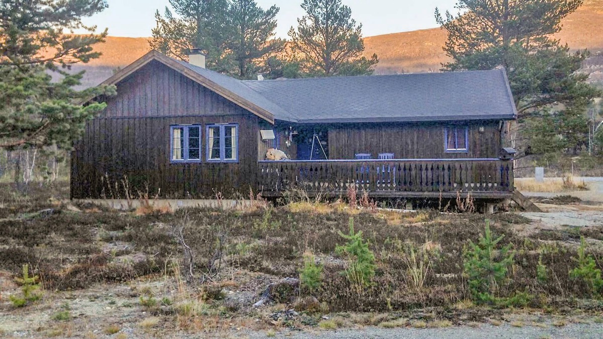 Bjorli House | 4 bedroom gorgeous home in Bjorli