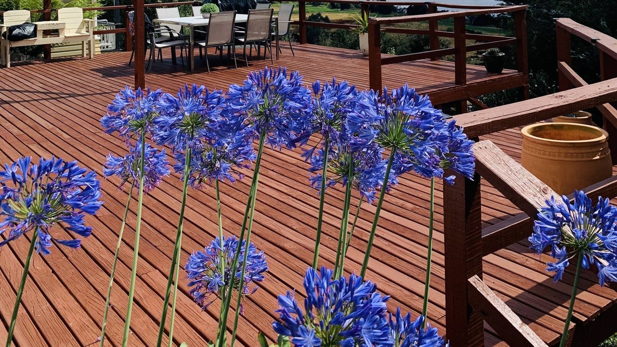 Trevallyn House | 4 bedroom house with spectacular views and short walk to the beautiful gorge