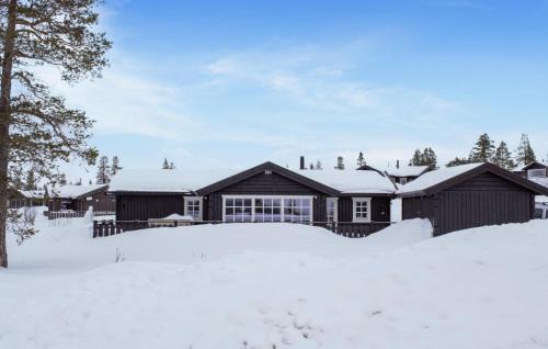 Engerdal House | 4 Bedroom Nice Home In Engerdal
