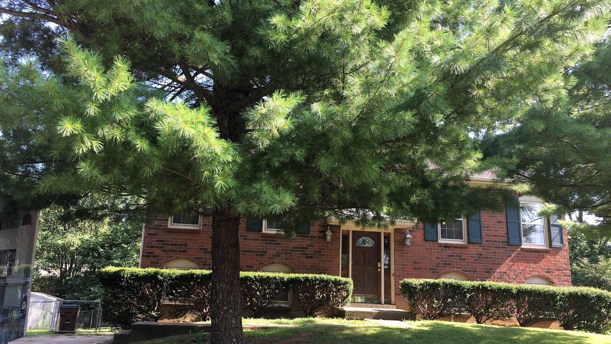 Woodland Hills House | 4 BR, 2 story, room to roam w/privacy. Great location, outside eating area.