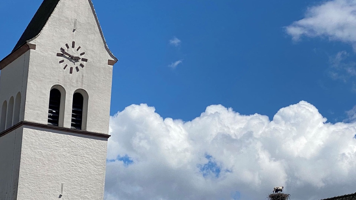 Katzenthal Apartment | 4*charm,near Colmar, Eguisheim,Riquewihr,wine route, garden, enclosed parking lot