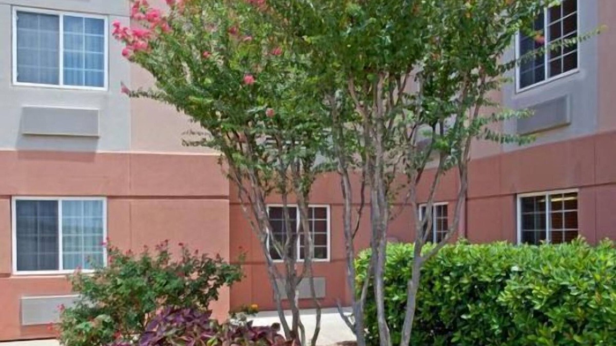 Westchase House | 4 Comfy Units, Kitchen, Near Attractions, Pool