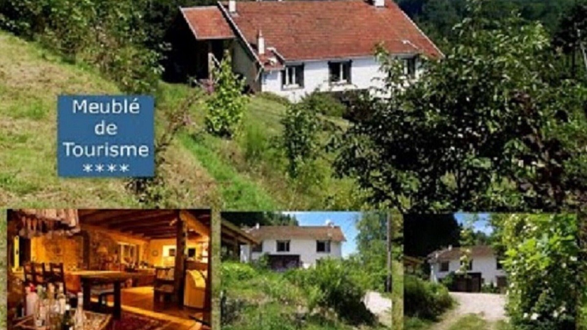 Granges-Aumontzey House | 4* house in the middle of nature, renovated, with terrace, garden and pizza oven
