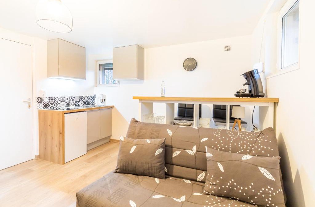 Pontarlier Apartment | 4 - Le studio Pontissalien - Parking Privatif
